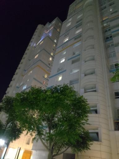 عکس همراه شهر