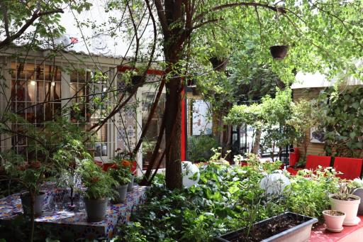 عکس آموزشگاه موسیقی نوای شهر آشوب