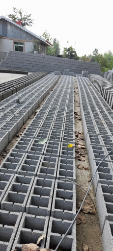 عکس بلوک زنی شهریار داودی