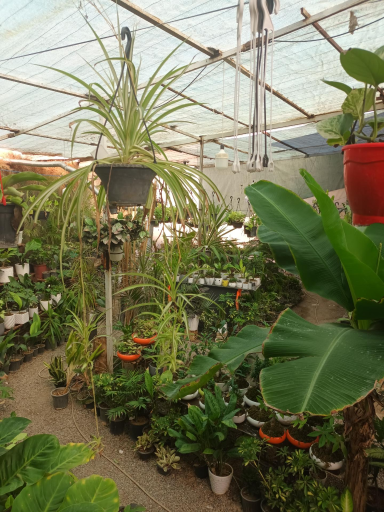 عکس گلفروشی شبانه روزی ثروت