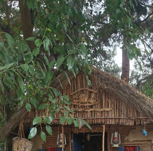 عکس رستوران باغ لاله