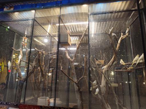 عکس رستوران باغ لاله