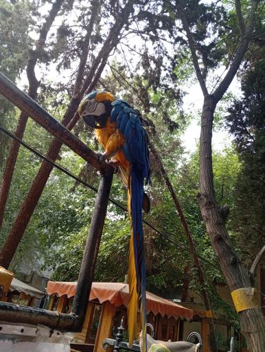 رستوران باغ لاله