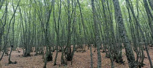 عکس قلعه بابک