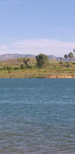 عکس هیدج