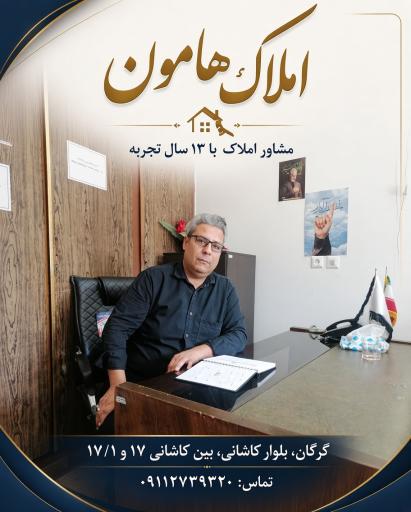 عکس مشاور املاک هامون 