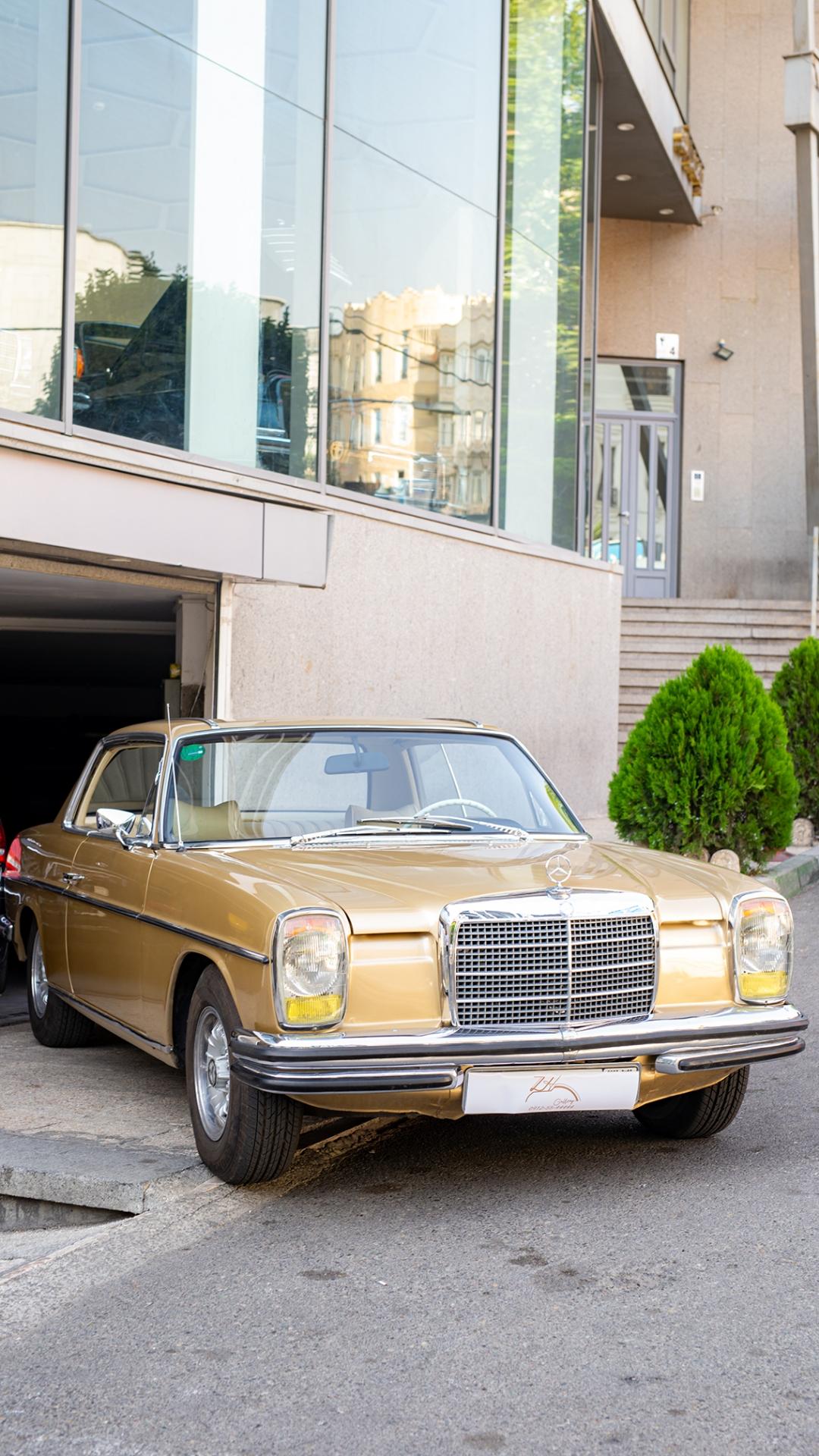 عکس ژ گالری ( ژوبین قرائی)