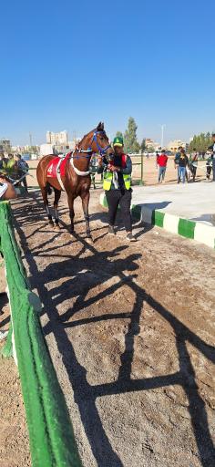 عکس مجتمع سوارکاری