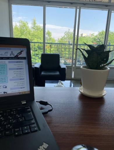 عکس دفتر خدمات مالیاتی مالینو حساب 