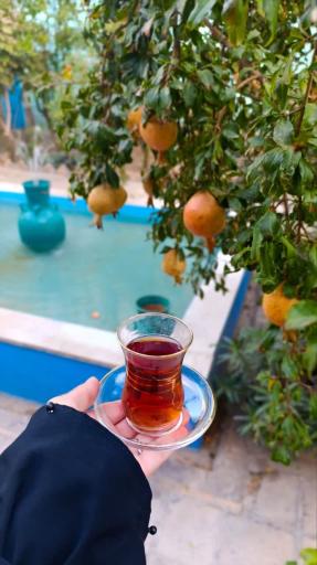 عکس کافه جهان‌ نما