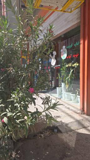 عکس رستوران اسپیناس