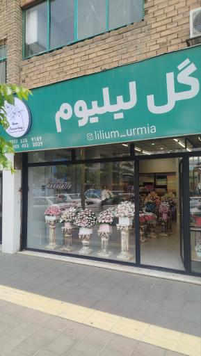 عکس گل فروشی لیلیوم 