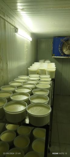 عکس لبنیات سنتی خوان شیرازی