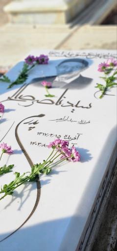 عکس مزار سید‌ ناصر‌ صالح