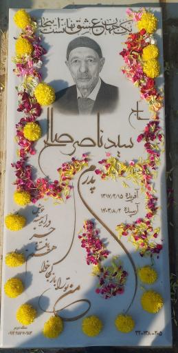 عکس مزار سید‌ ناصر‌ صالح