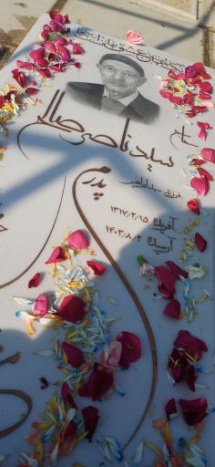 عکس مزار سید‌ ناصر‌ صالح