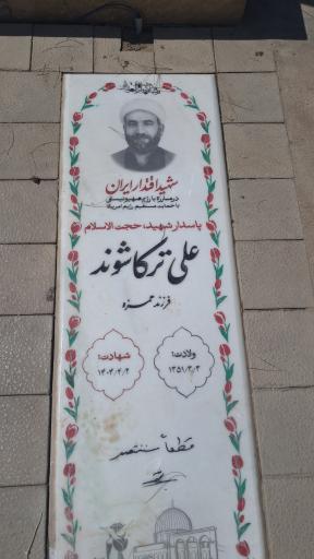عکس مزار شهید علی ترکاشوند