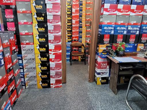 عکس کارشناس فنی و باطری آرانه