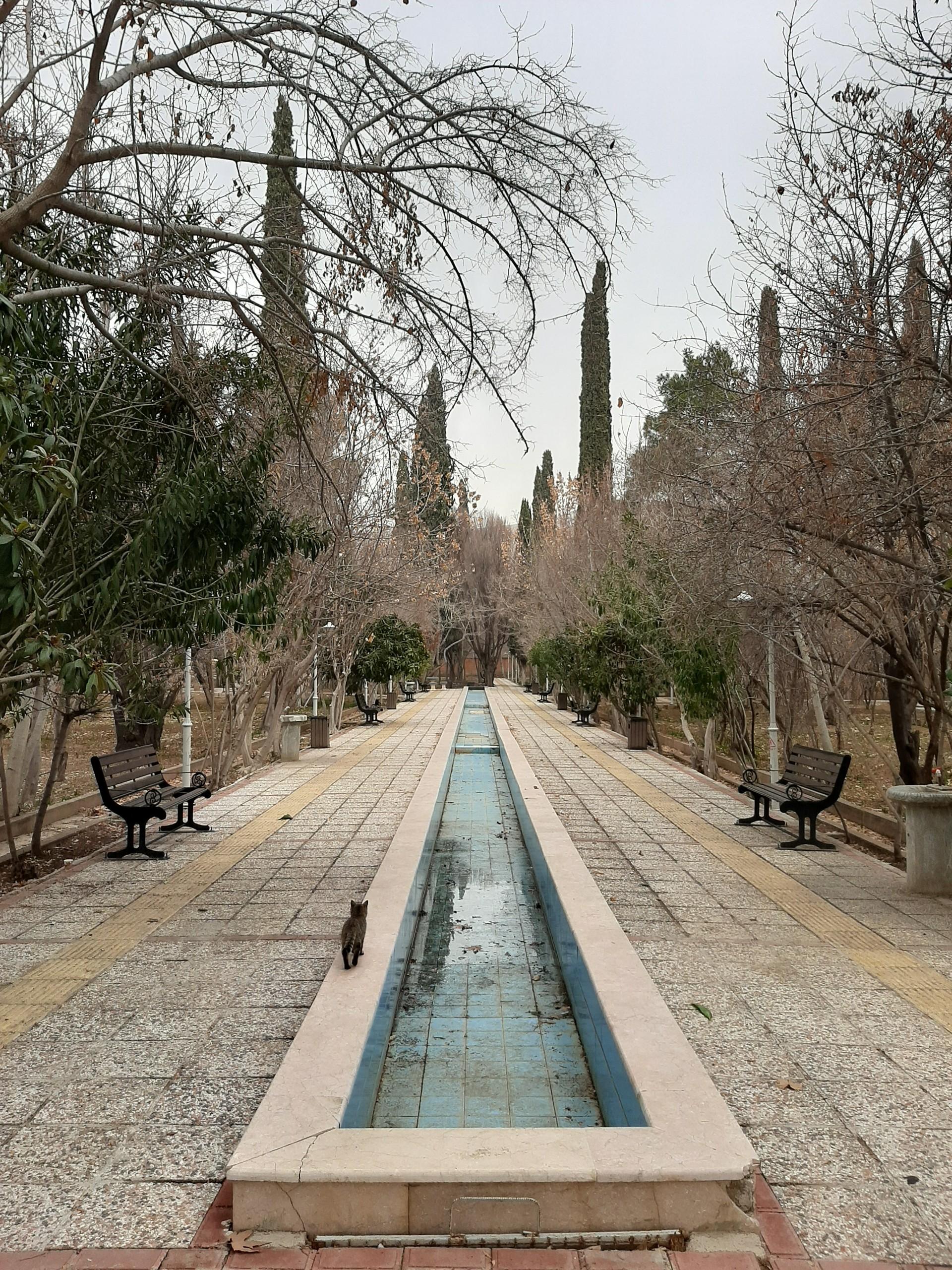 عکس بوستان بهار شیراز