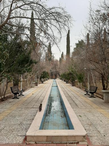 عکس بوستان بهار شیراز