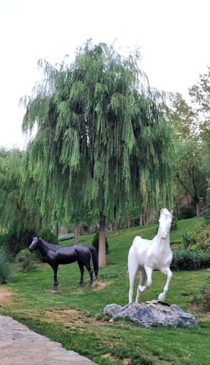 عکس ضلع شمالی بوستان جوانمردان ایران