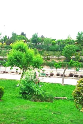 عکس ضلع شمالی بوستان جوانمردان ایران
