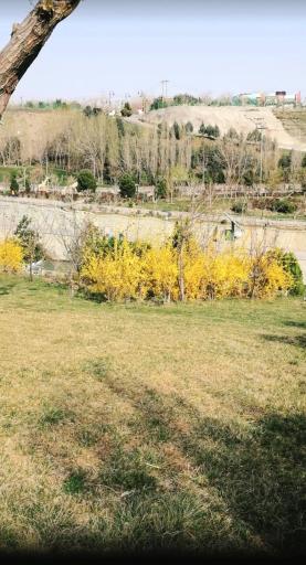 عکس ضلع شمالی بوستان جوانمردان ایران