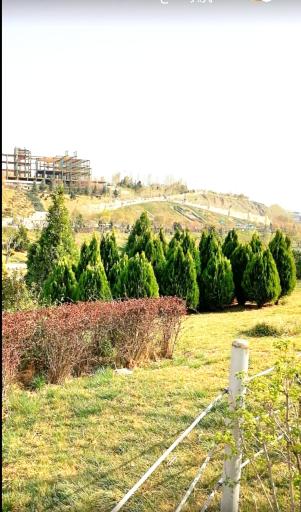 عکس ضلع شمالی بوستان جوانمردان ایران