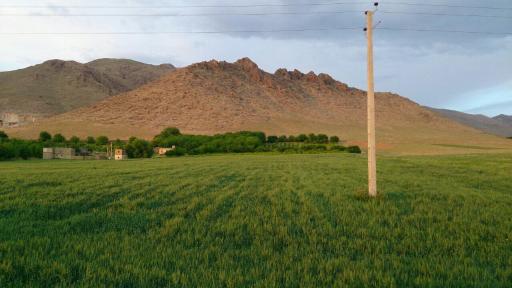 عکس وهمان