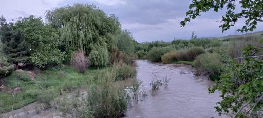 عکس وهمان