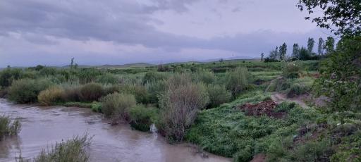 عکس وهمان