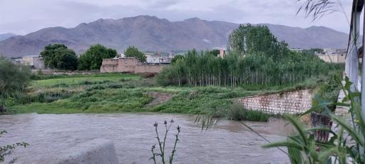 عکس وهمان