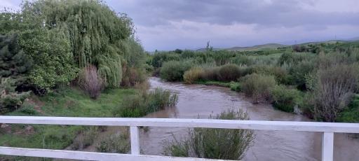 عکس وهمان