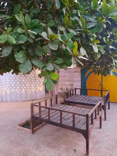 عکس اقامتگاه بومگردی آگنی