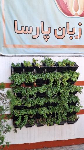 عکس موسسه زبان پارسا