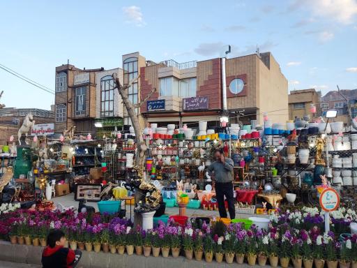 عکس حصیربافی نیزار