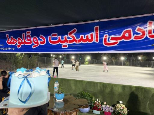 عکس آکادمی اسکیت دوقلوها