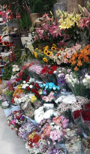 عکس گل فروشی دشت گل