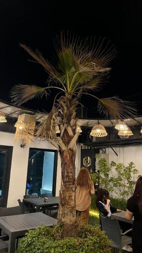عکس کافه و رستوران هایلند