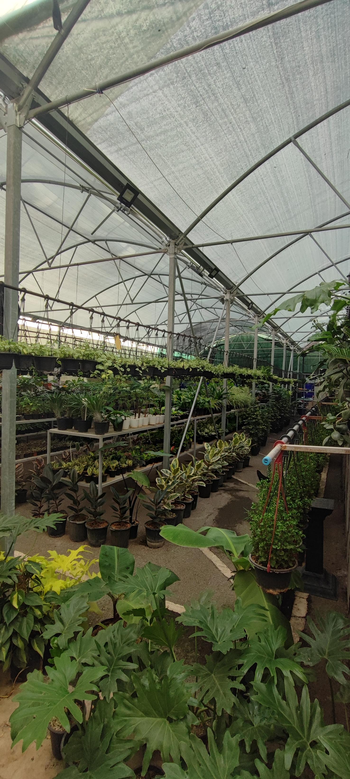 عکس گلخانه دکوپلنت