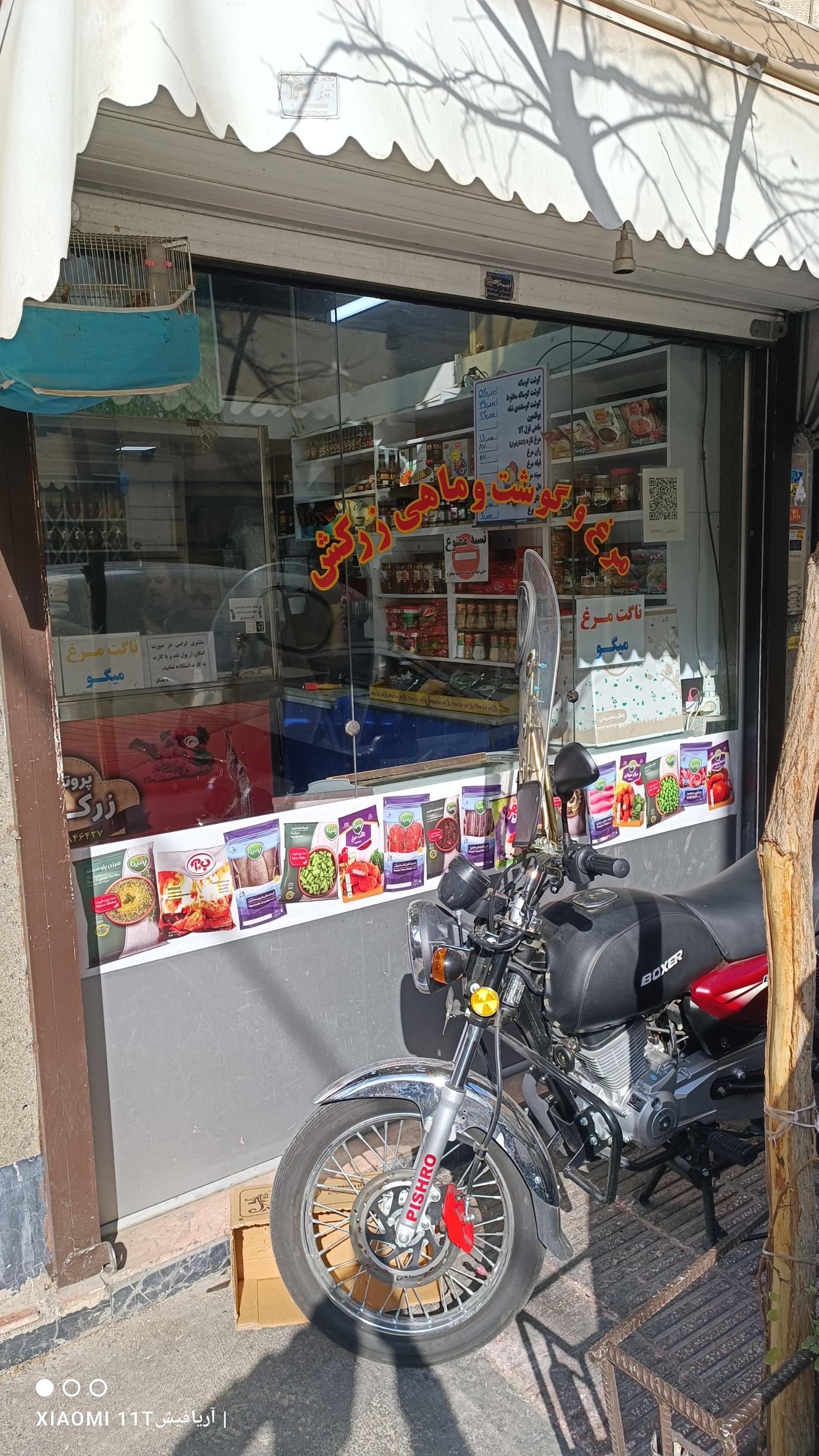 عکس پروتئین زرکش