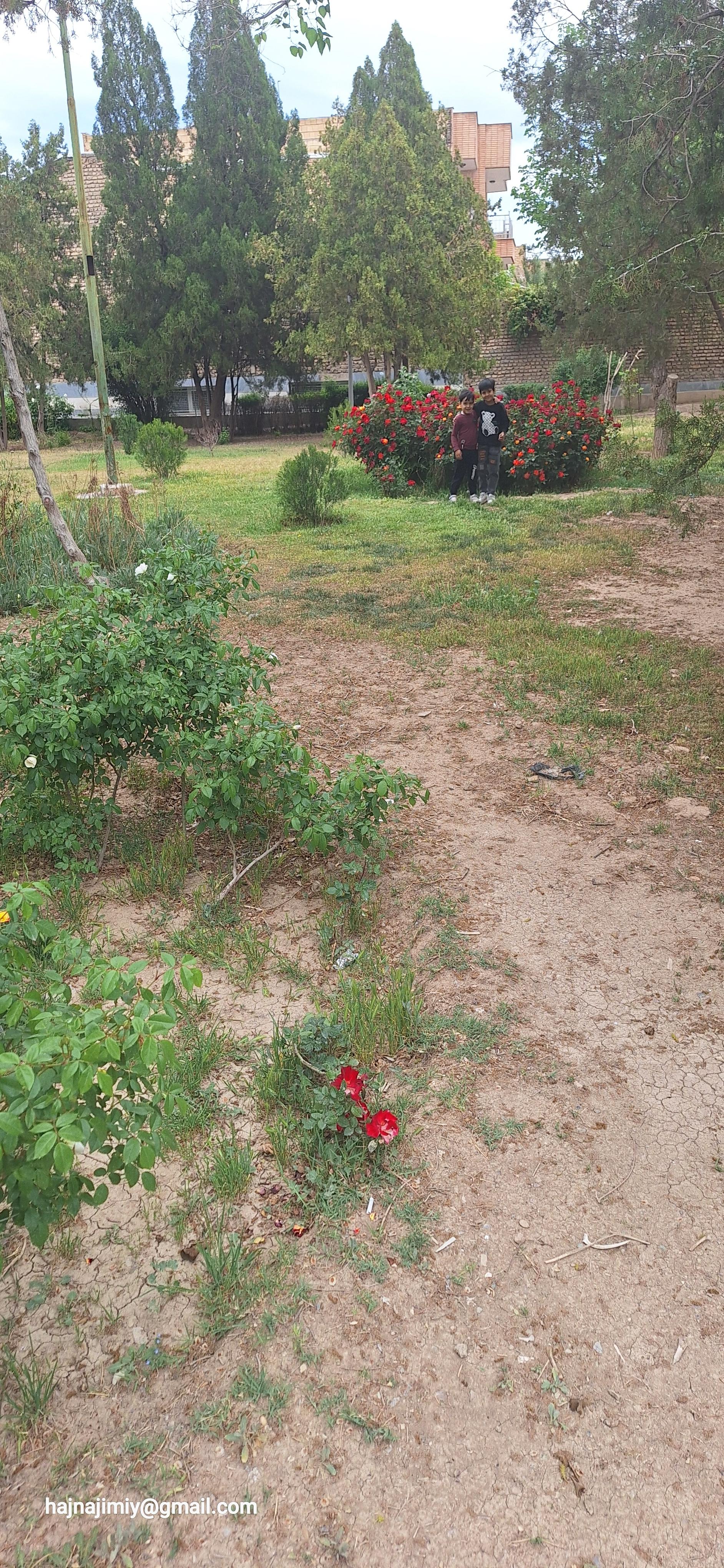 عکس فضای سبز