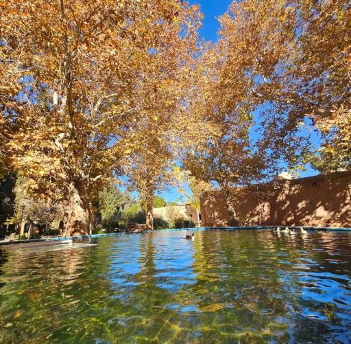 عکس باغ امیرآباد