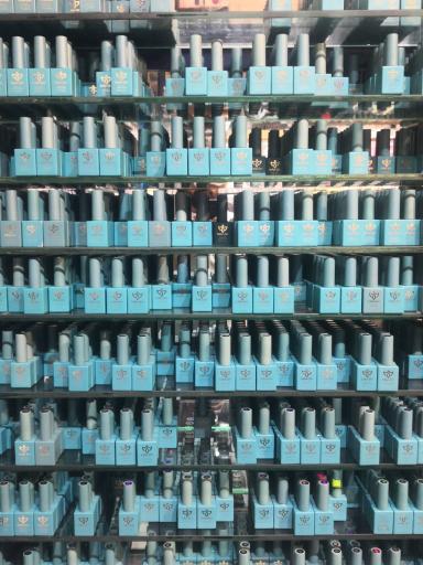 عکس گالری گل رز