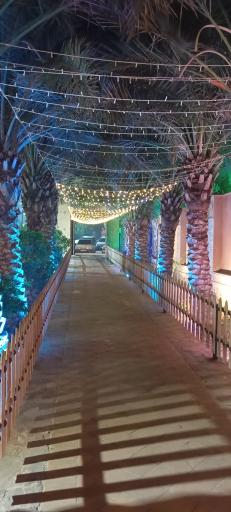 عکس باغ رستوران سی تو