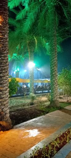 عکس باغ رستوران سی تو