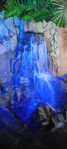 عکس باغ رستوران سی تو