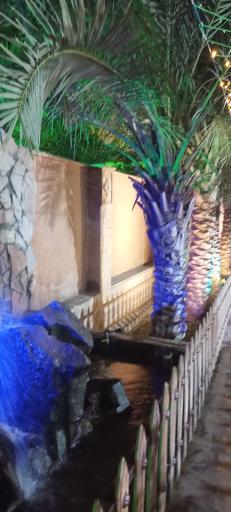 عکس باغ رستوران سی تو