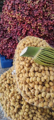 فروشگاه خرما و خشکبار دهقانی