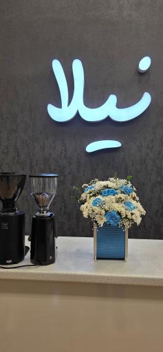 عکس جلاتو نیلا